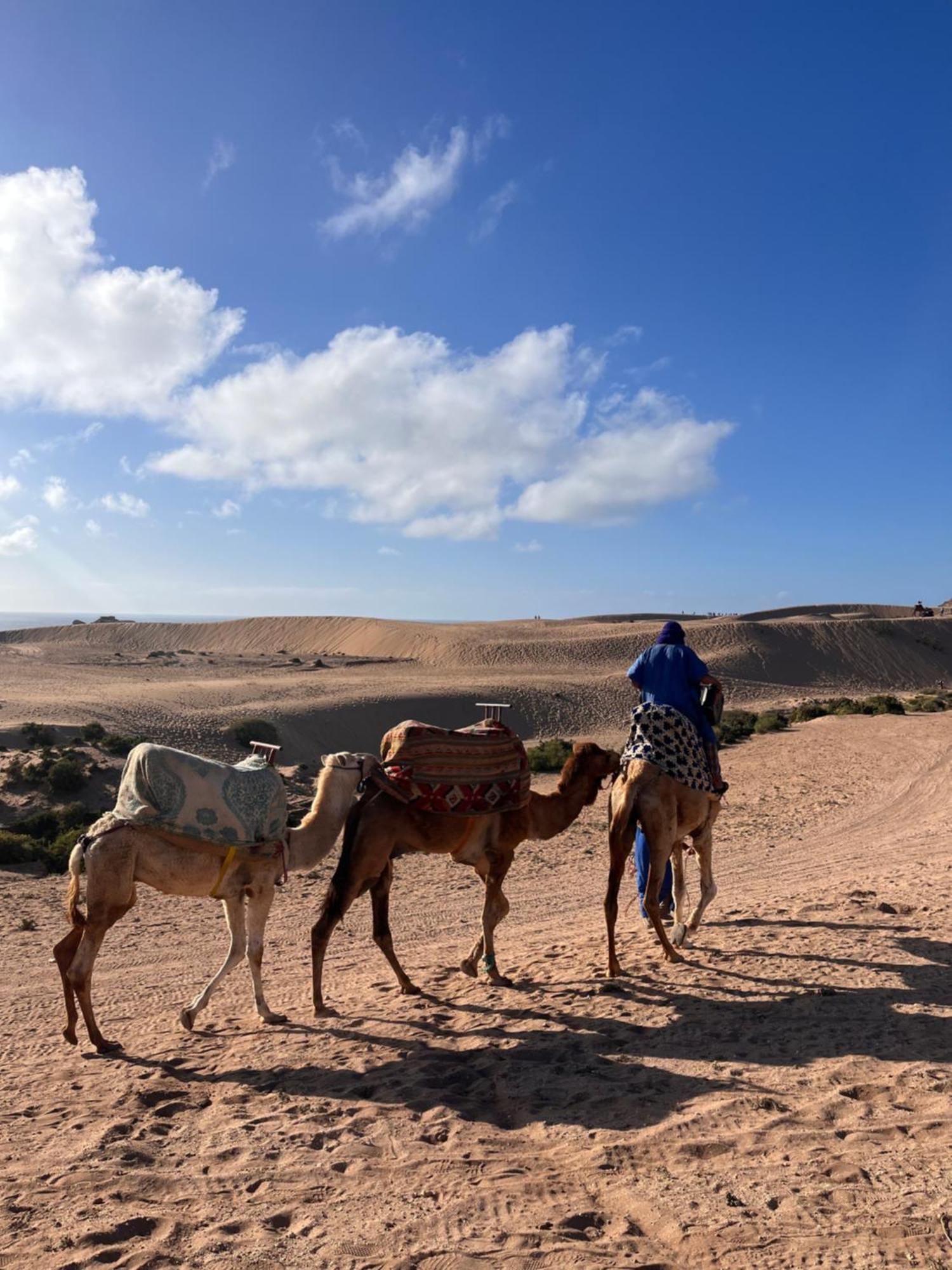 Nizar Surf Morocco Hostel Taghazout Ngoại thất bức ảnh